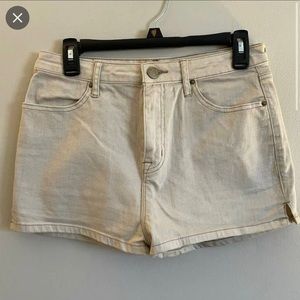 BDG High—Rise Carpenter Short